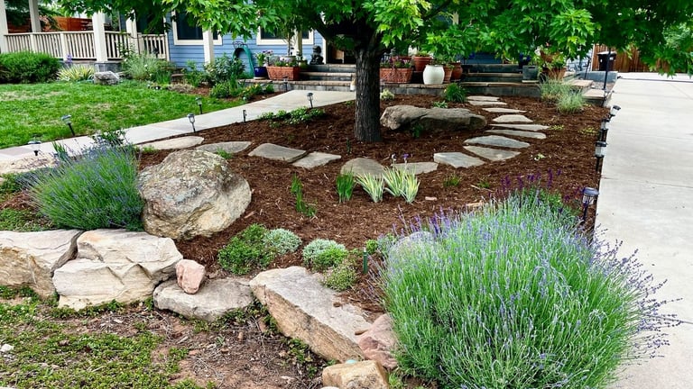 Landscaped garden bed with rocks, mulch, flowering lavender plants, and a mature tree in residential yard