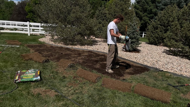 Six rolls of sod stacked on a gravel driveway beside a residential house with white siding