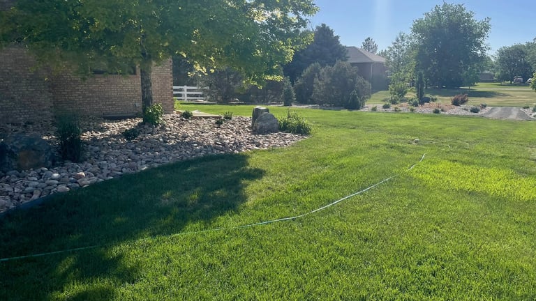 Green lawn with rocky landscaping border, brick building, trees, and garden hose on sunny day