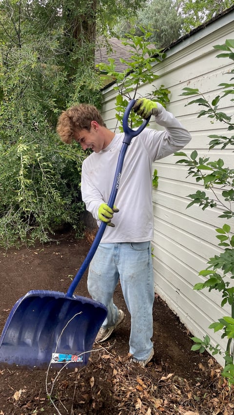 Person using a shovel to dig in soil near a house surrounded by green plants and climbing ivy.