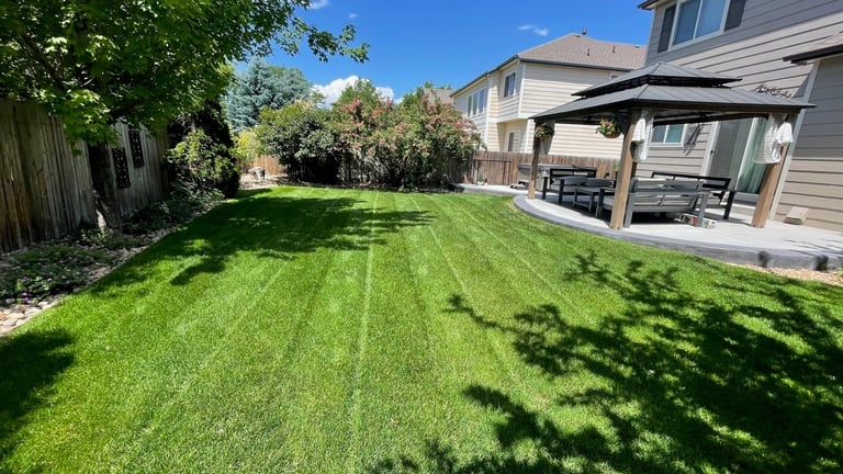 Well-maintained residential backyard with striped green lawn, pergola patio, house, and mature trees on a sunny day