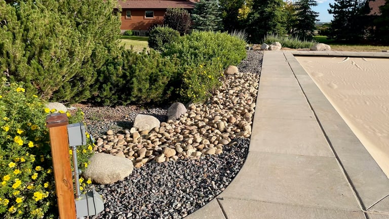 Concrete driveway with decorative rock landscaping, green shrubs, and yellow flowers lining the pathway to a residential home