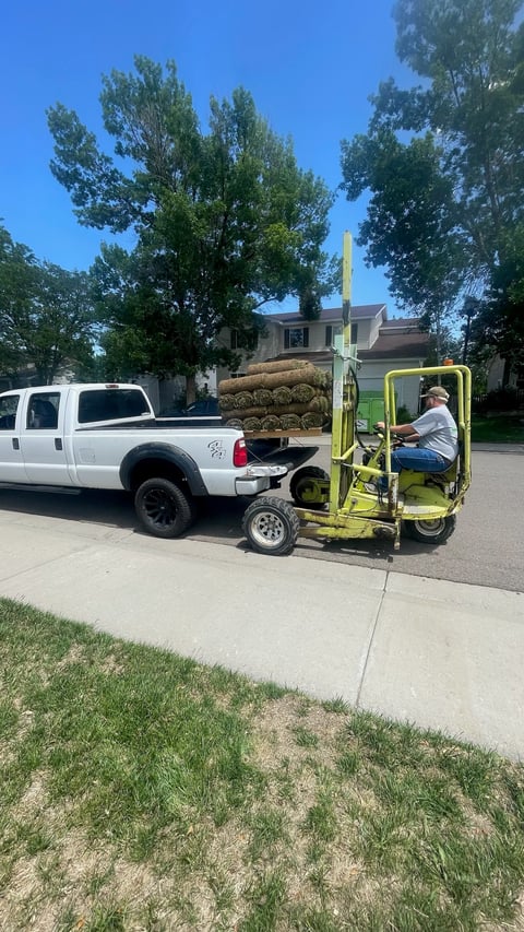 White pickup truck towing a yellow trailer loaded with rolled sod on a residential street with trees and houses