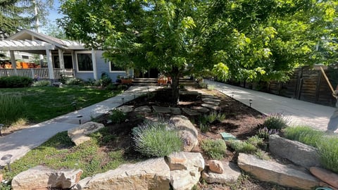 Backyard landscape design with rock features, native plants, and drought-resistant garden near residential house with mature trees
